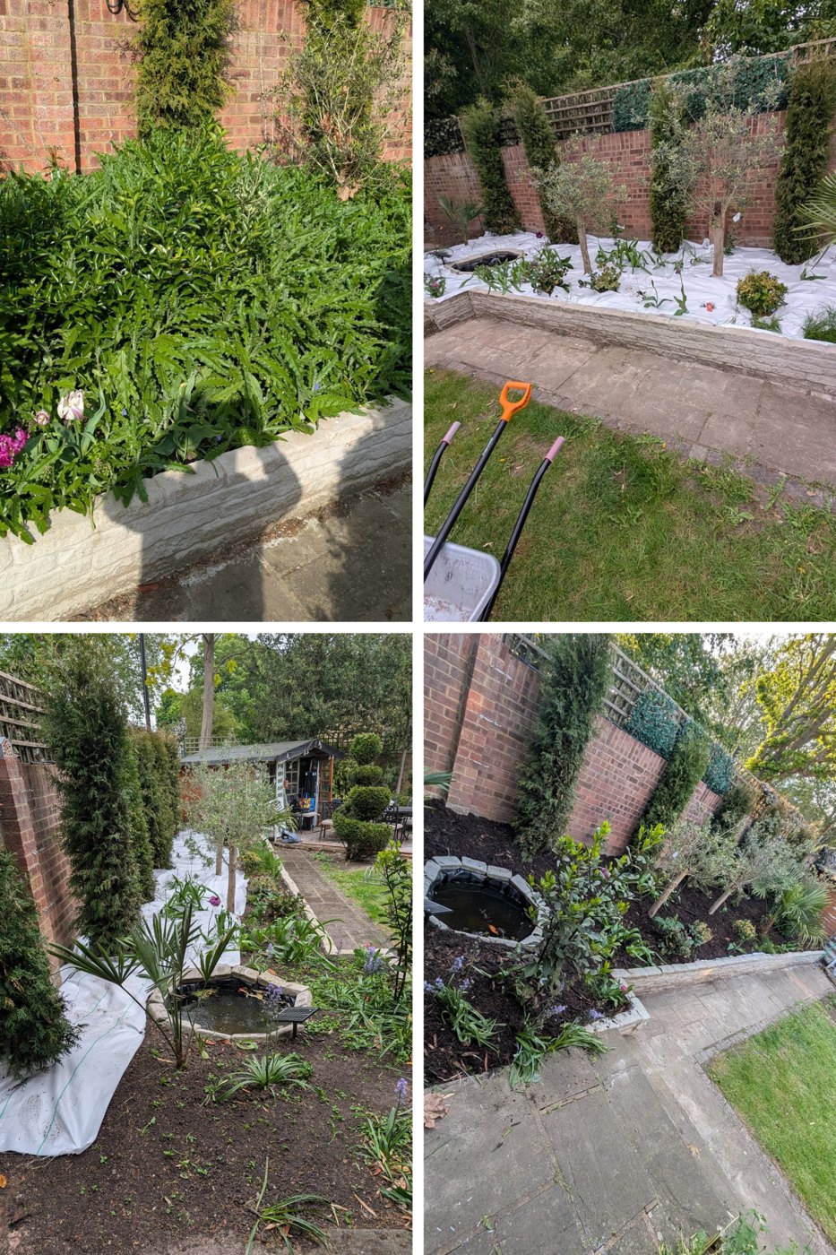 T&M garden maintenance