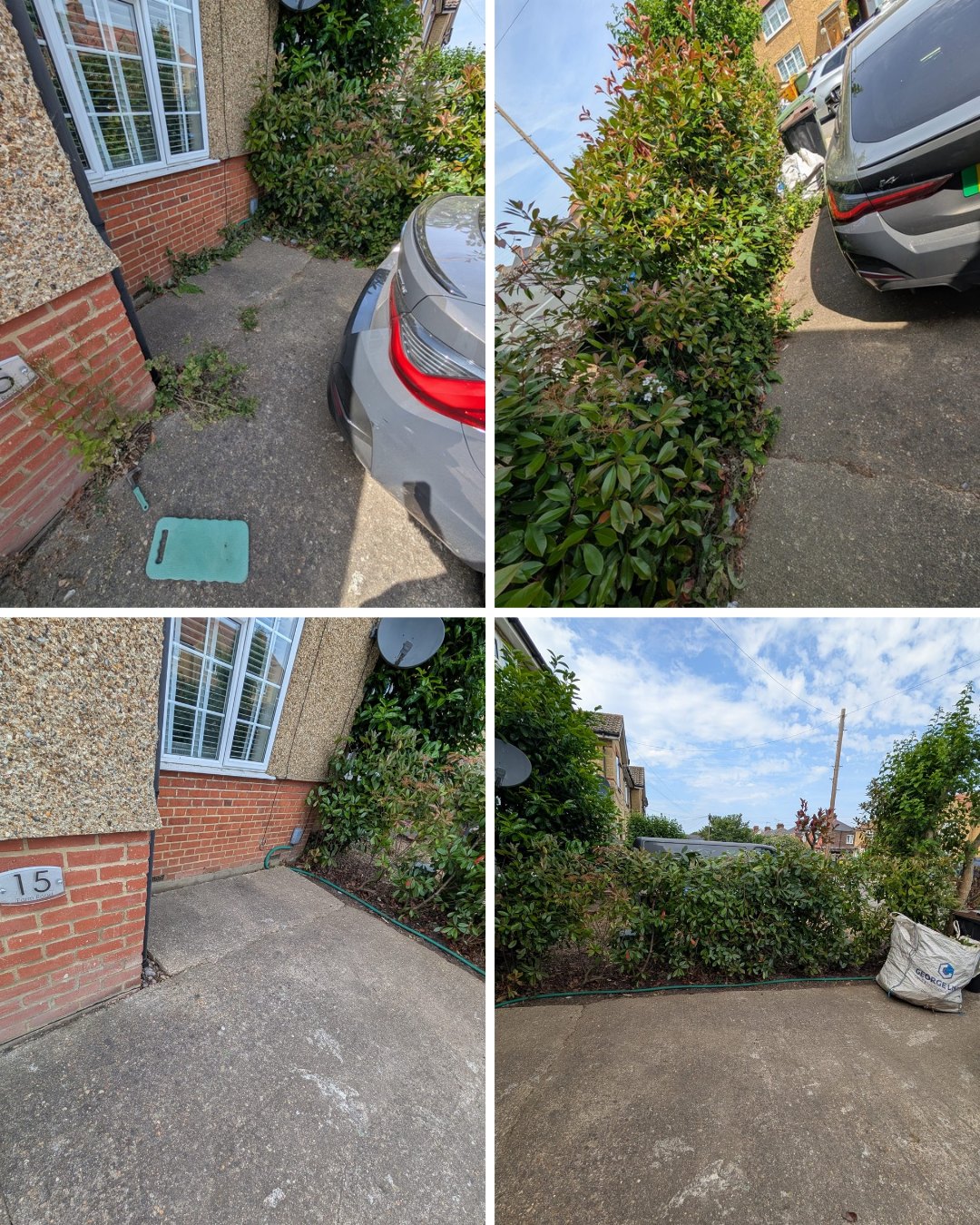 T&M garden maintenance