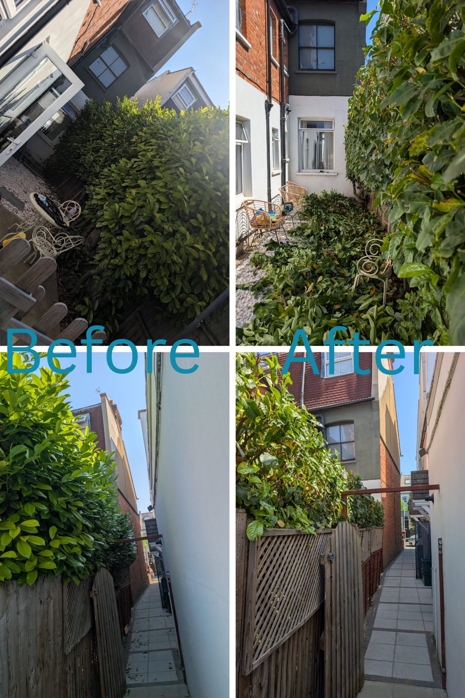 T&M garden maintenance