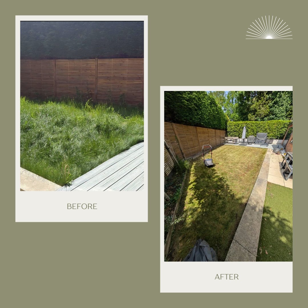 T&M garden maintenance